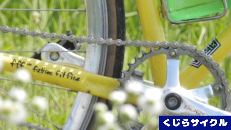 fatties fit fine surlyの自転車